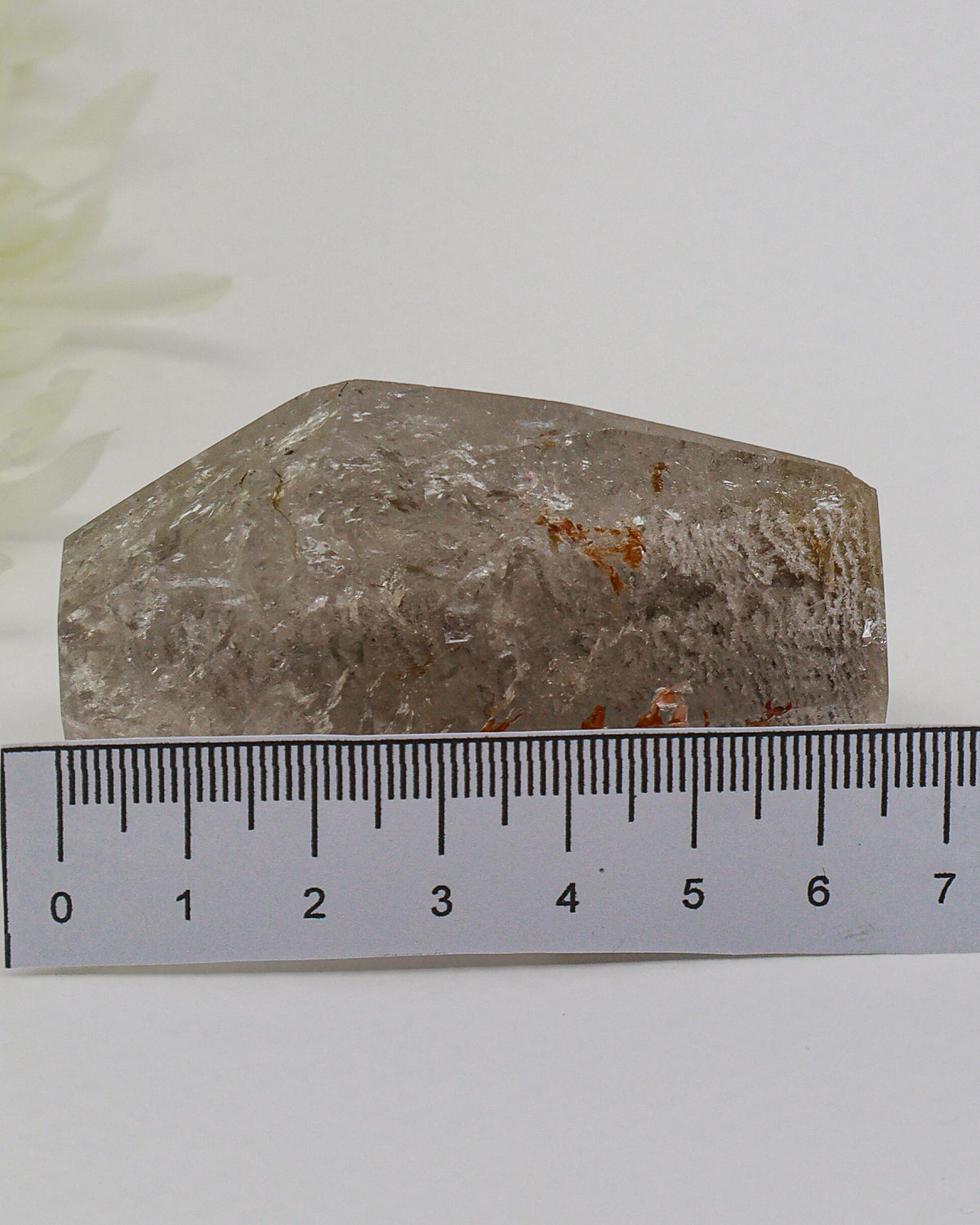 Garden Quartz Crystal 125g – The Ancient Forest | Grounding & Spiritual Growth