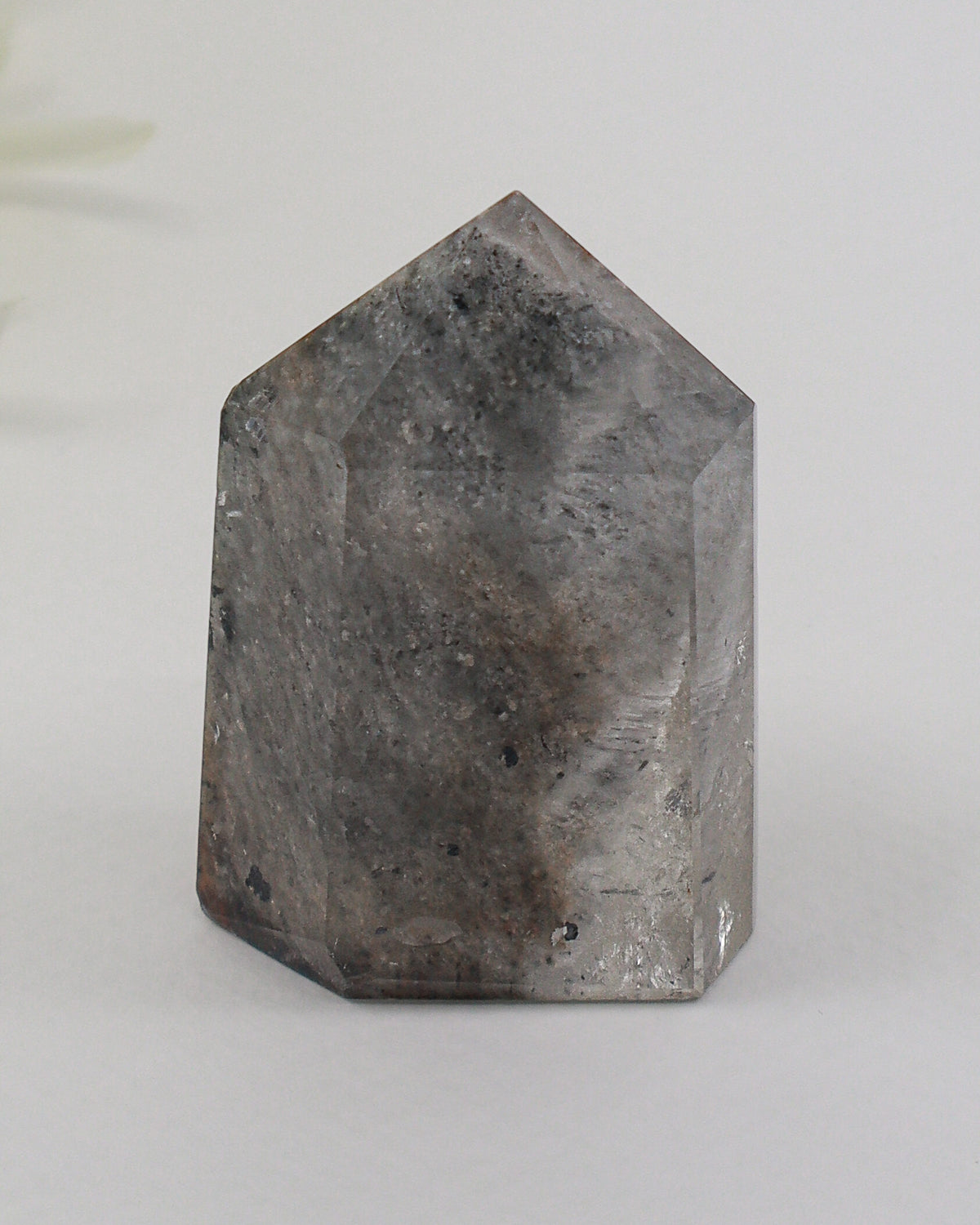 Phantom Garden Quartz Point 83g – The Ancient Forest | Transformation & Spiritual Growth