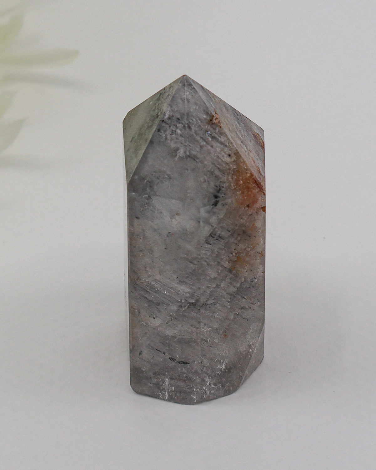 Phantom Garden Quartz Point 83g – The Ancient Forest | Transformation & Spiritual Growth