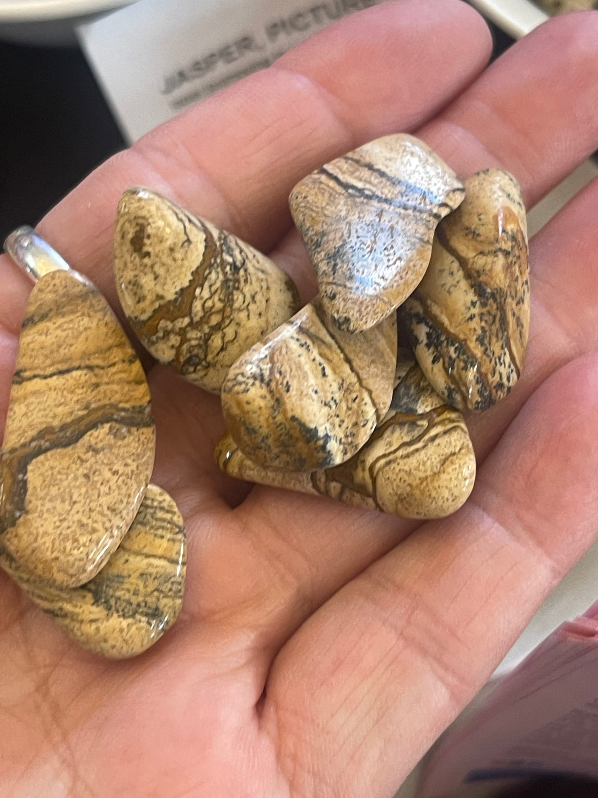 Picture Jasper Tumbled Stone – Stone of Vision, Earth Connection & Inner Peace