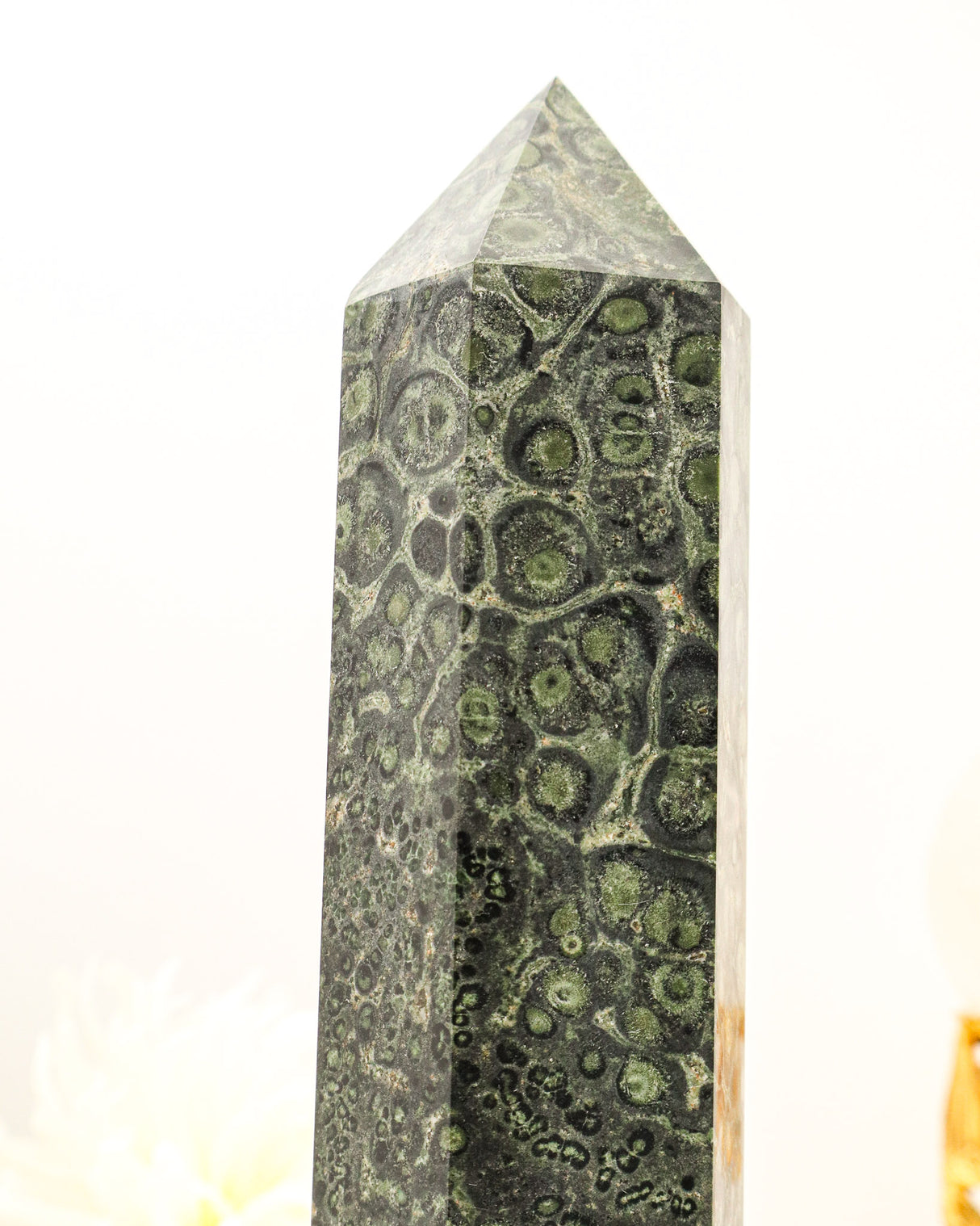 Kambaba Jasper Tower | 17cm | 1.67kg | Grounding & Ancient Wisdom