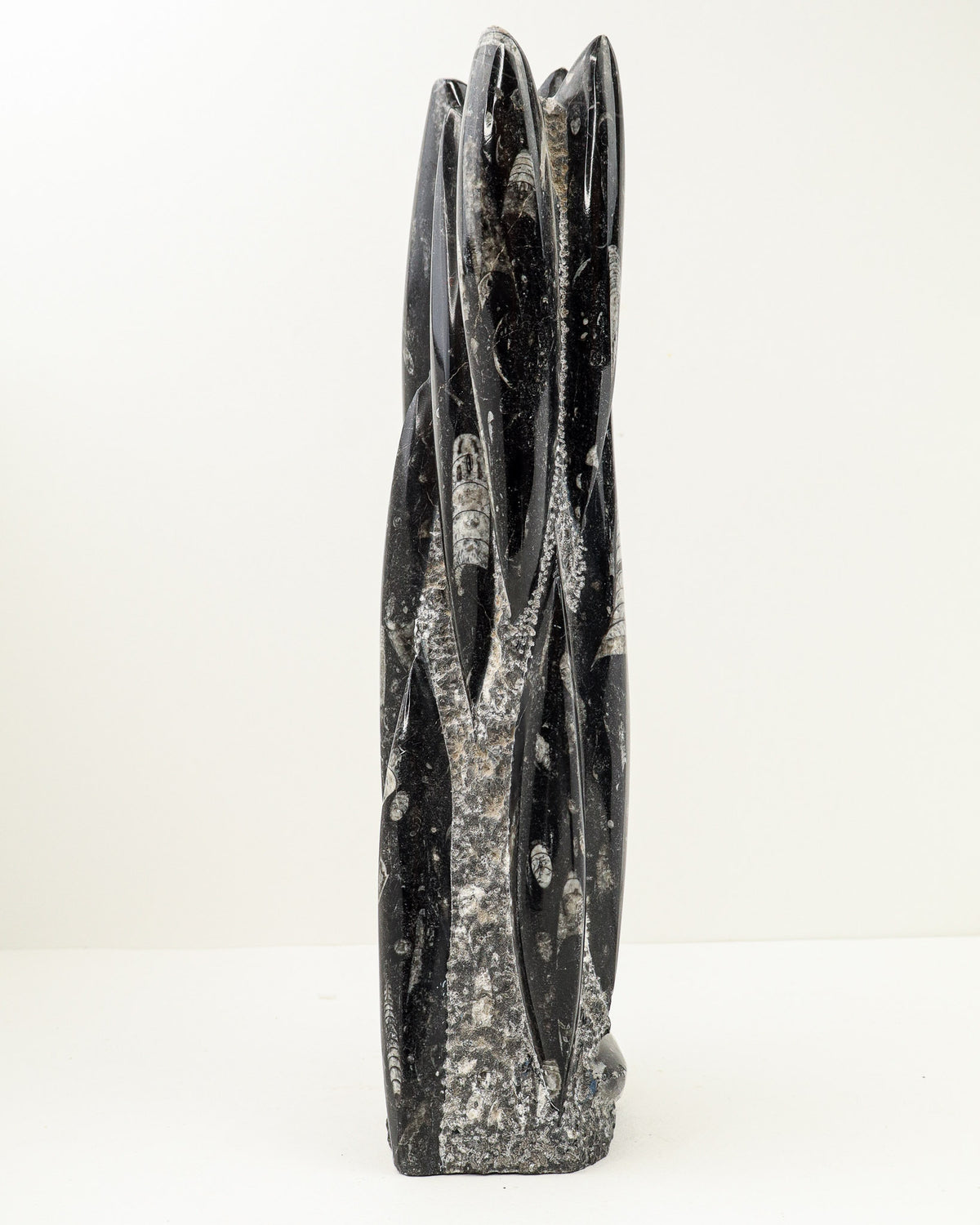Orthoceras Fossil Tower – Ancient Wisdom, Grounding & Transformation | 3.9kg
