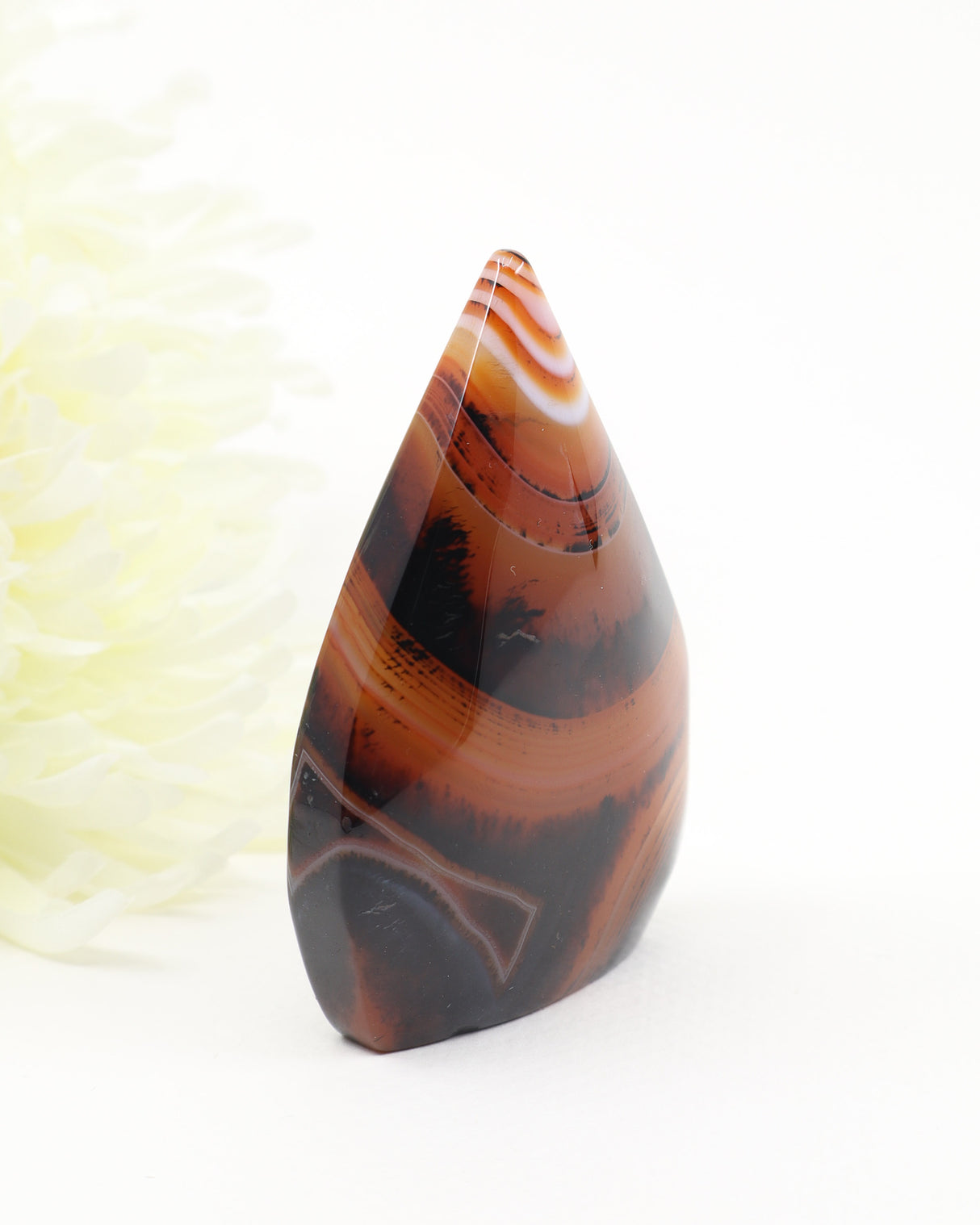 The Ember Gateway – Sardonyx Freeform
