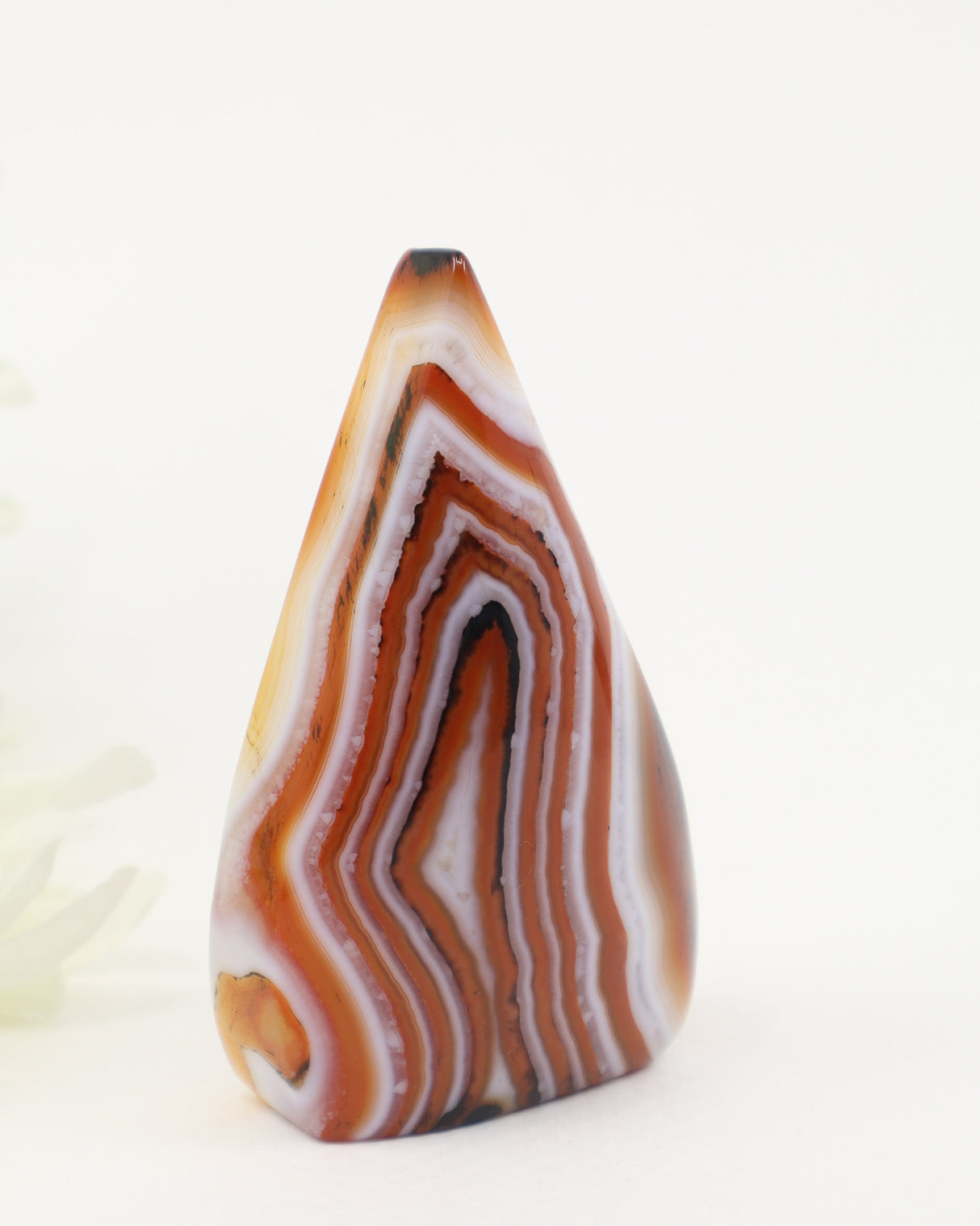 The Seeker's Flame – Sardonyx Freeform