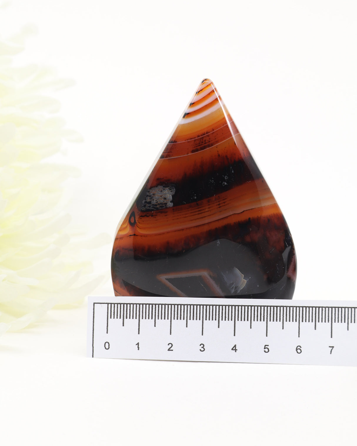The Ember Gateway – Sardonyx Freeform