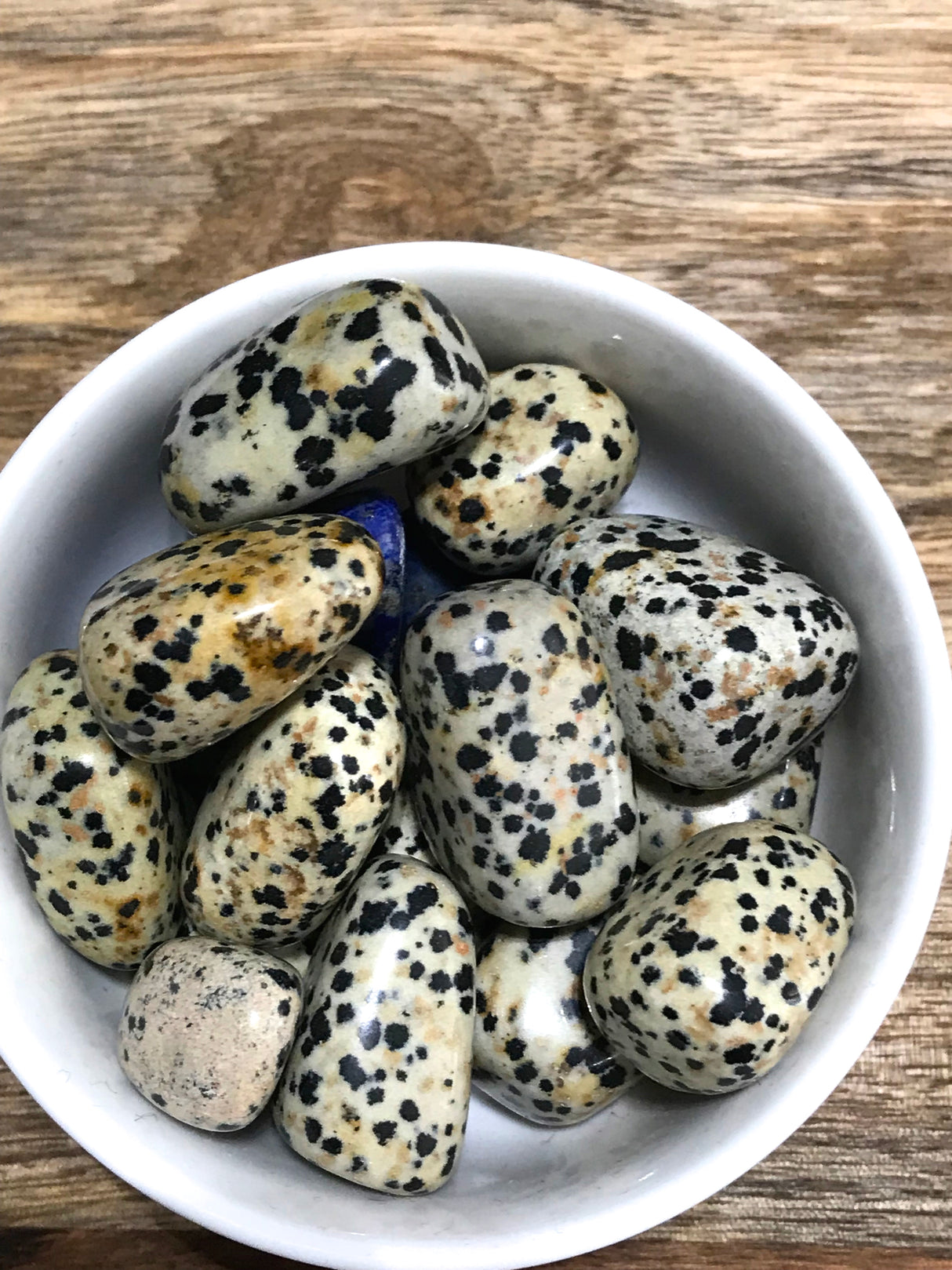 Dalmatian Jasper tumbled stone with black and brown spots — crystal of joy, grounding, and playful protection.