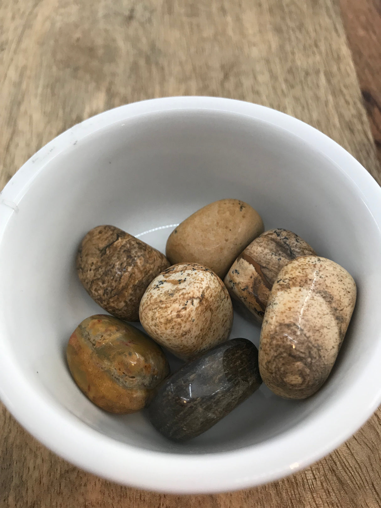 Jasper Picture - Comfort. Reconnect with Emotions. Inspired By 3 Australia