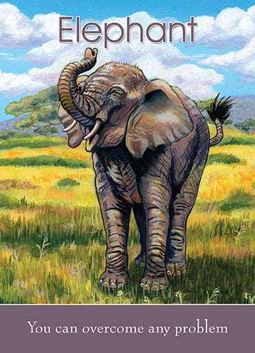 Children's Spirit Animal Cards - Dr. Steven Farmer