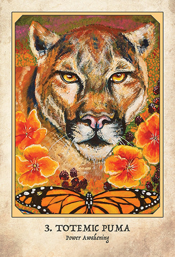 Earth Warriors Oracle - Alana Fairchild