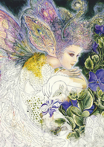 Enchanted Fairies Coloring Book