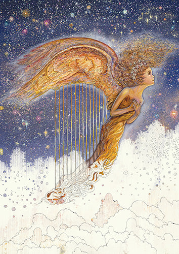 Enchanted Fairies Coloring Book