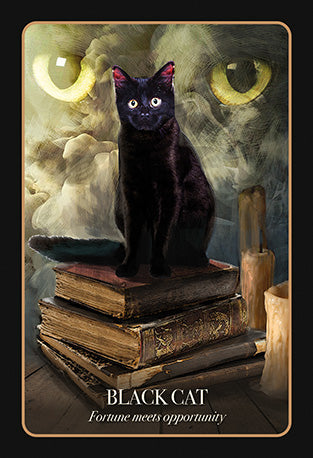 The Halloween Oracle Lifting the Veil Between the Worlds Every Night by Stacey Demarco