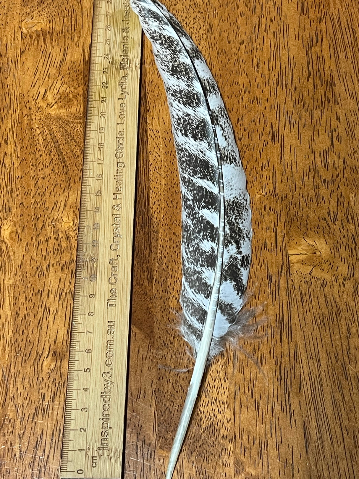 Witches Altar Beginner Box – 72 Magical Items for Your Sacred Space (Free Shipping)