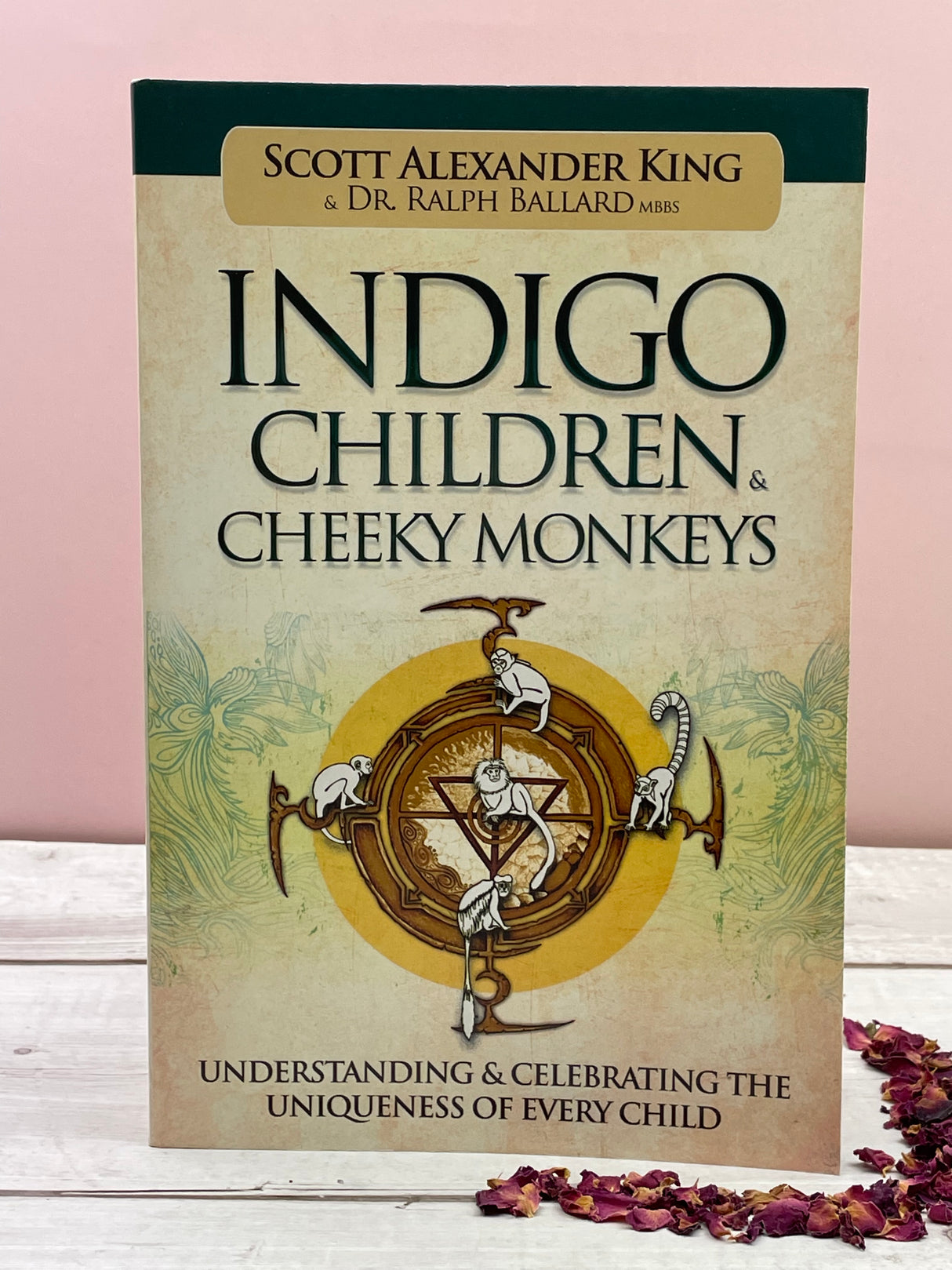 Indigo Children & Cheeky Monkeys