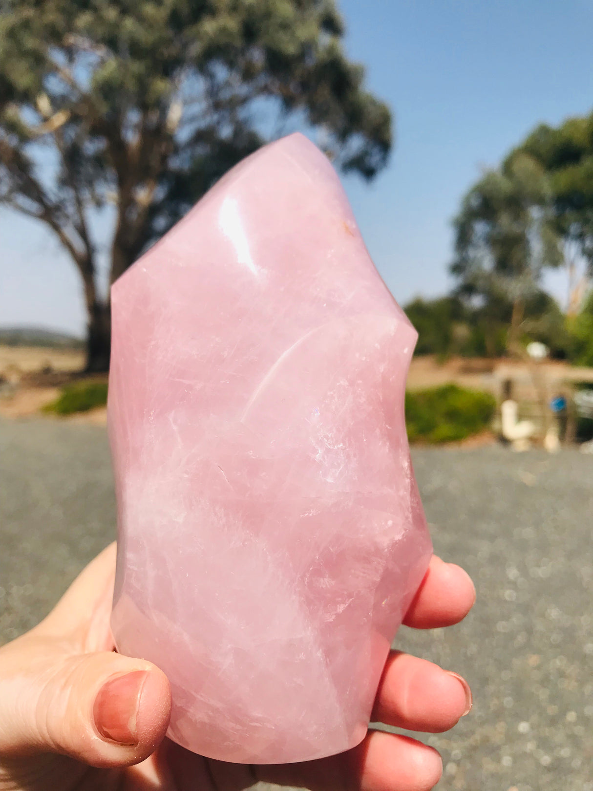 Rose Quartz Flame Madagascan - 432g - Love.