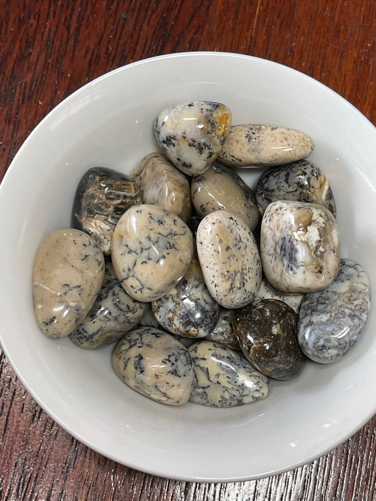 Dendritic Agate tumbled stone with tree-like inclusions — crystal of growth, stability, and inner peace.