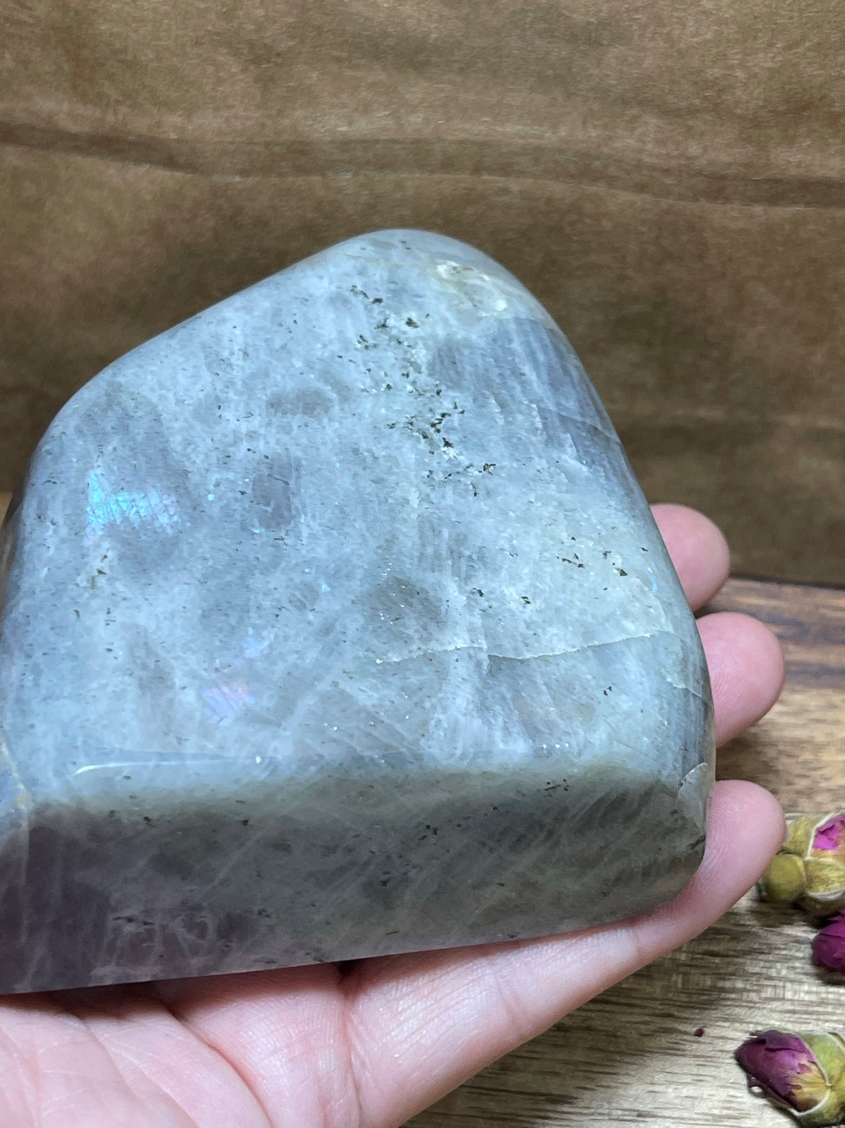 Labradorite Freeform - A Grade 524g - “I welcome change and transformation into my life”.
