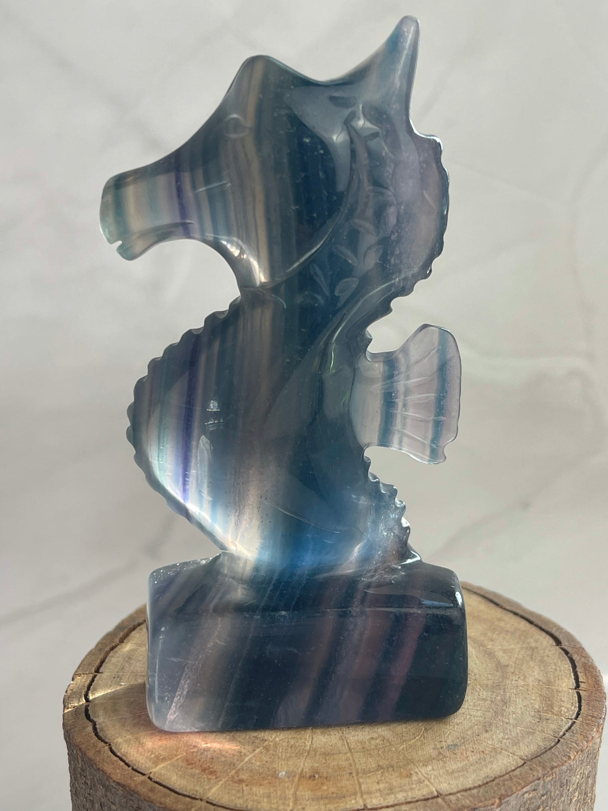 Fluorite Seahorse Carving - Good Luck. Opportunity.
