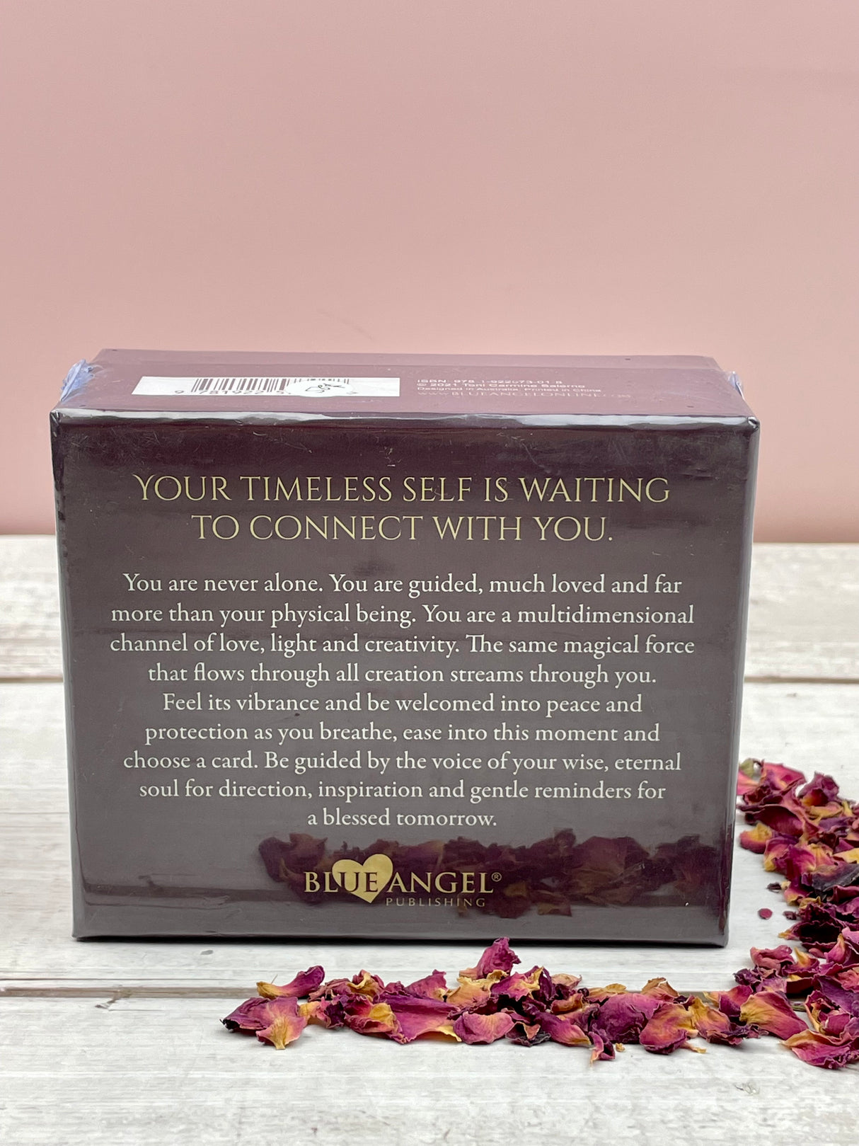 Eternal Light - Toni Carmine-Salerno