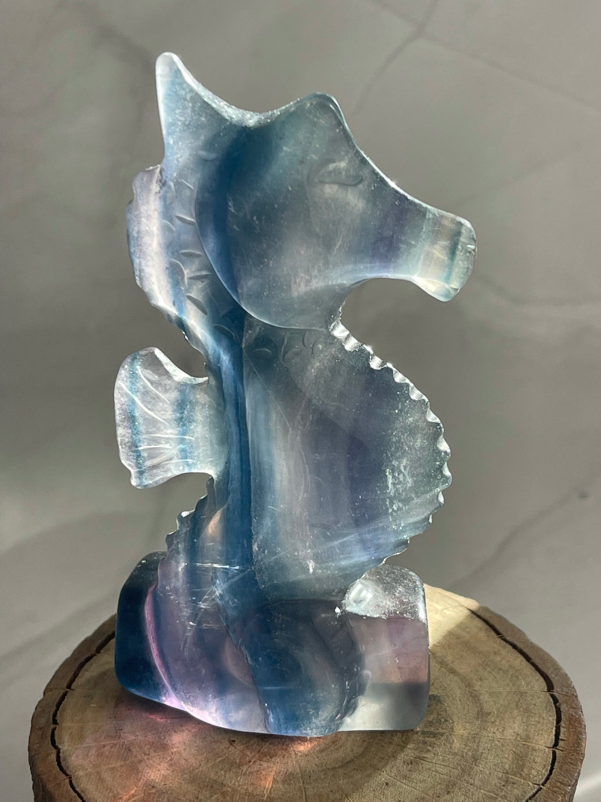Fluorite Seahorse Carving - Good Luck. Opportunity.
