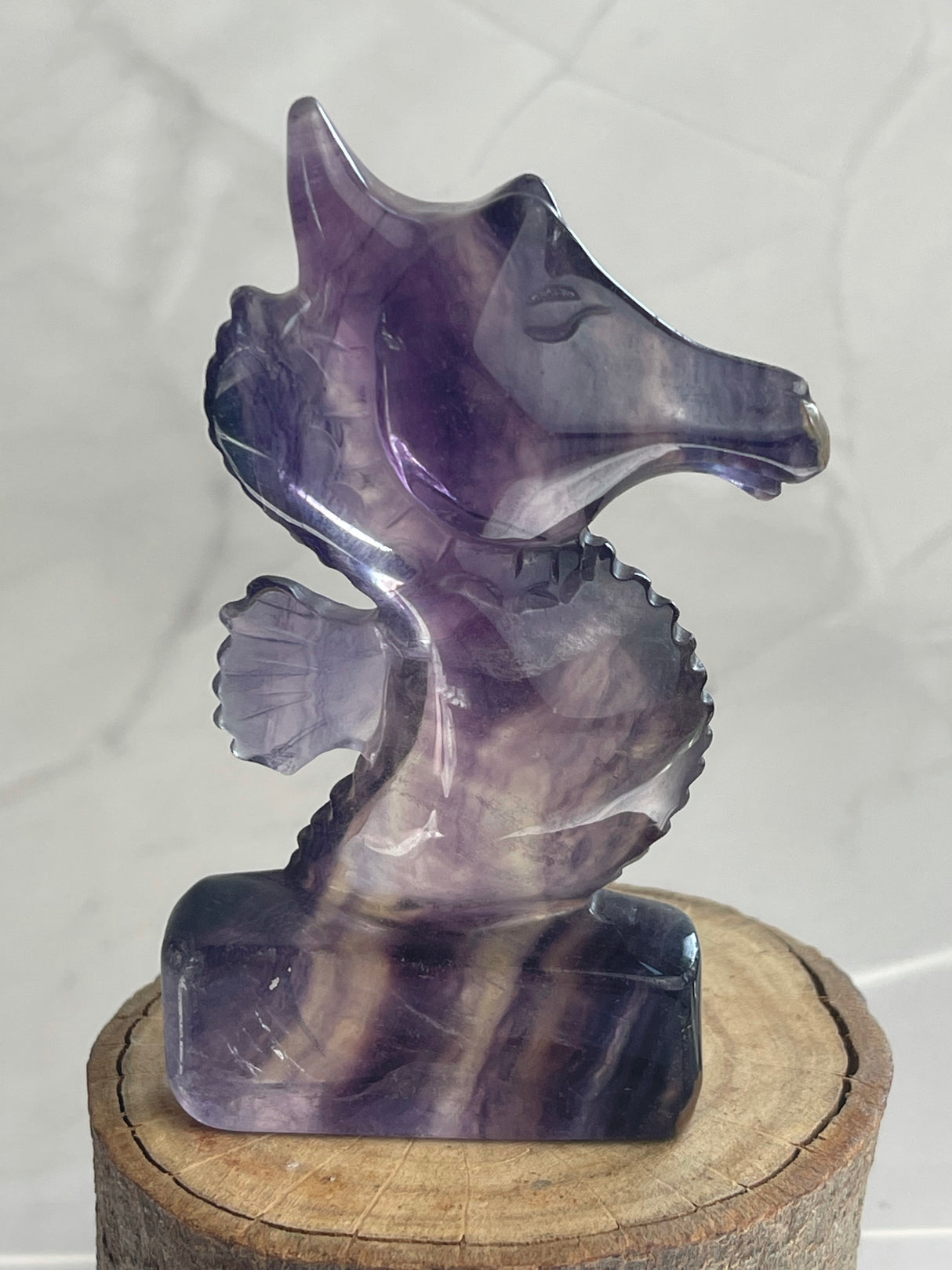 Fluorite Seahorse Carving - Good Luck. Opportunity.
