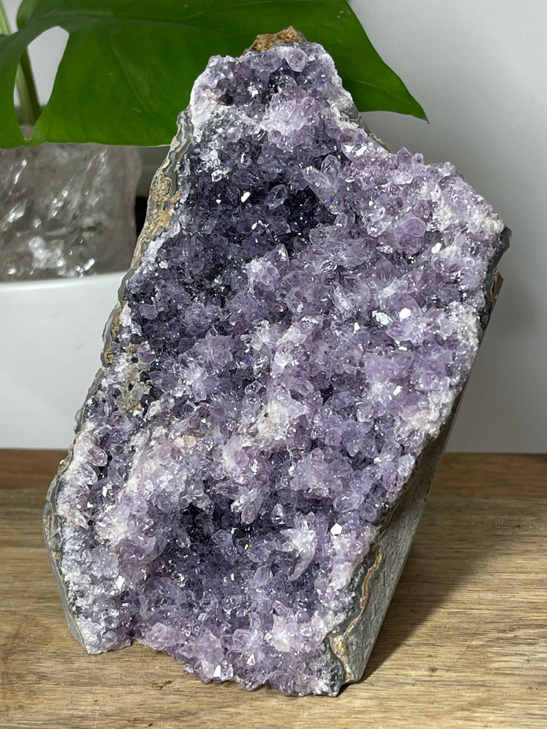 Amethyst Cluster 1025g - Protection. Intuition. Healing.