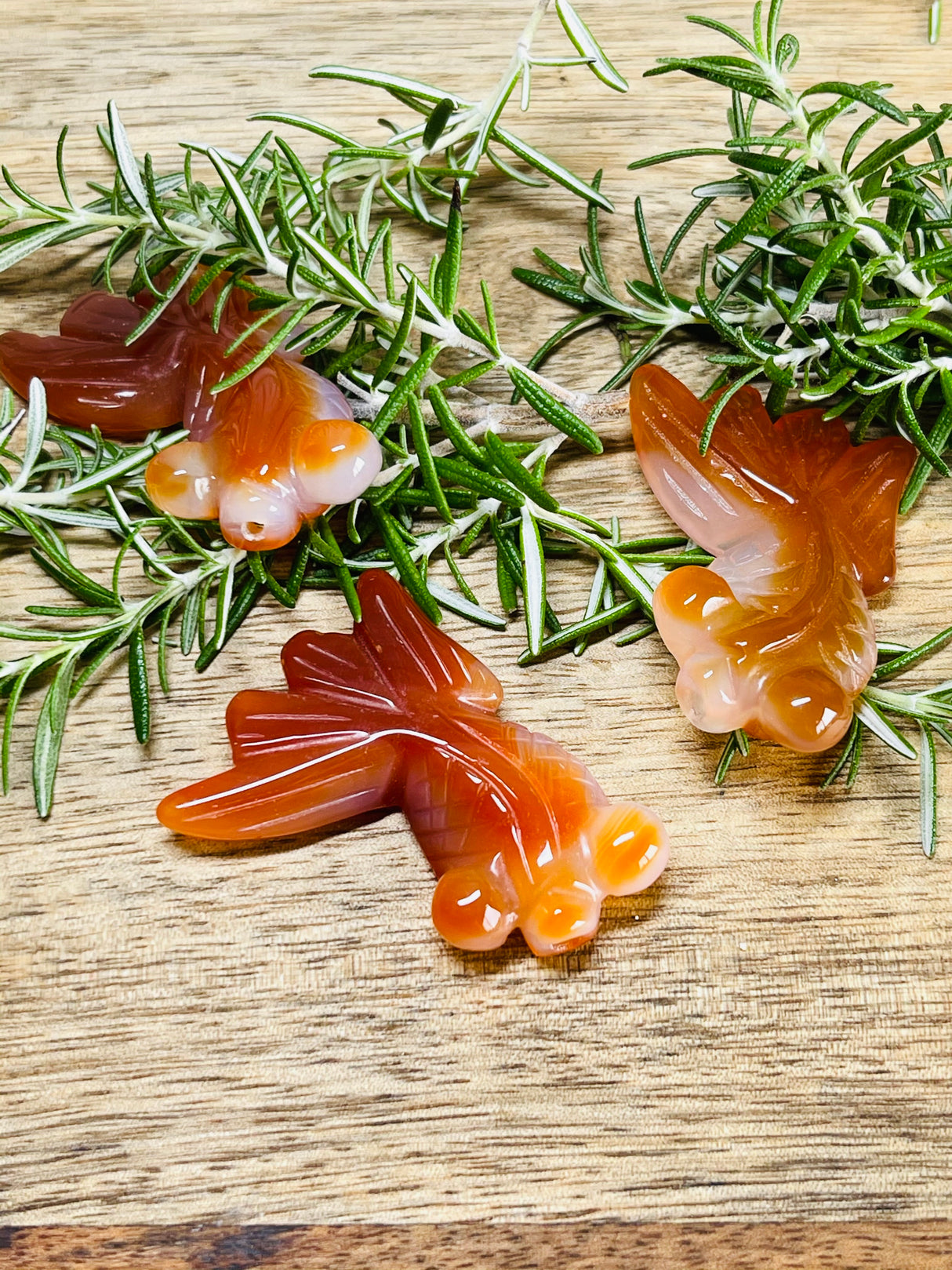Carnelian Goldfish Carving - Good Luck - Courage