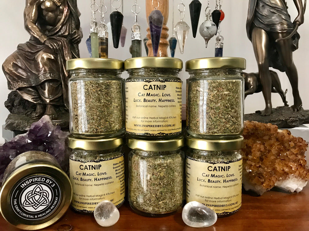 Catnip Herb Organic - Cat Magick. Love. Beauty & Happiness.