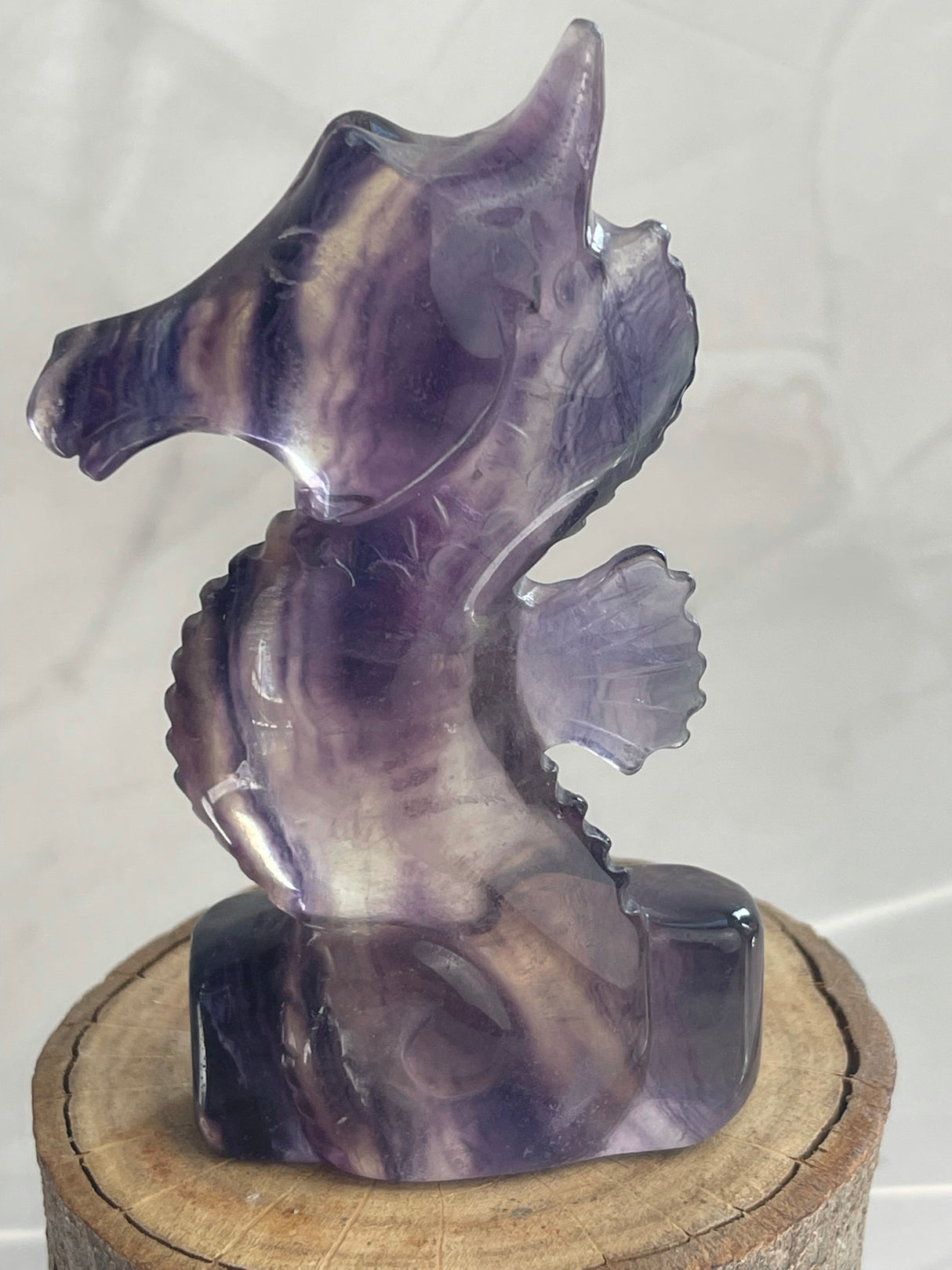 Fluorite Seahorse Carving - Good Luck. Opportunity.