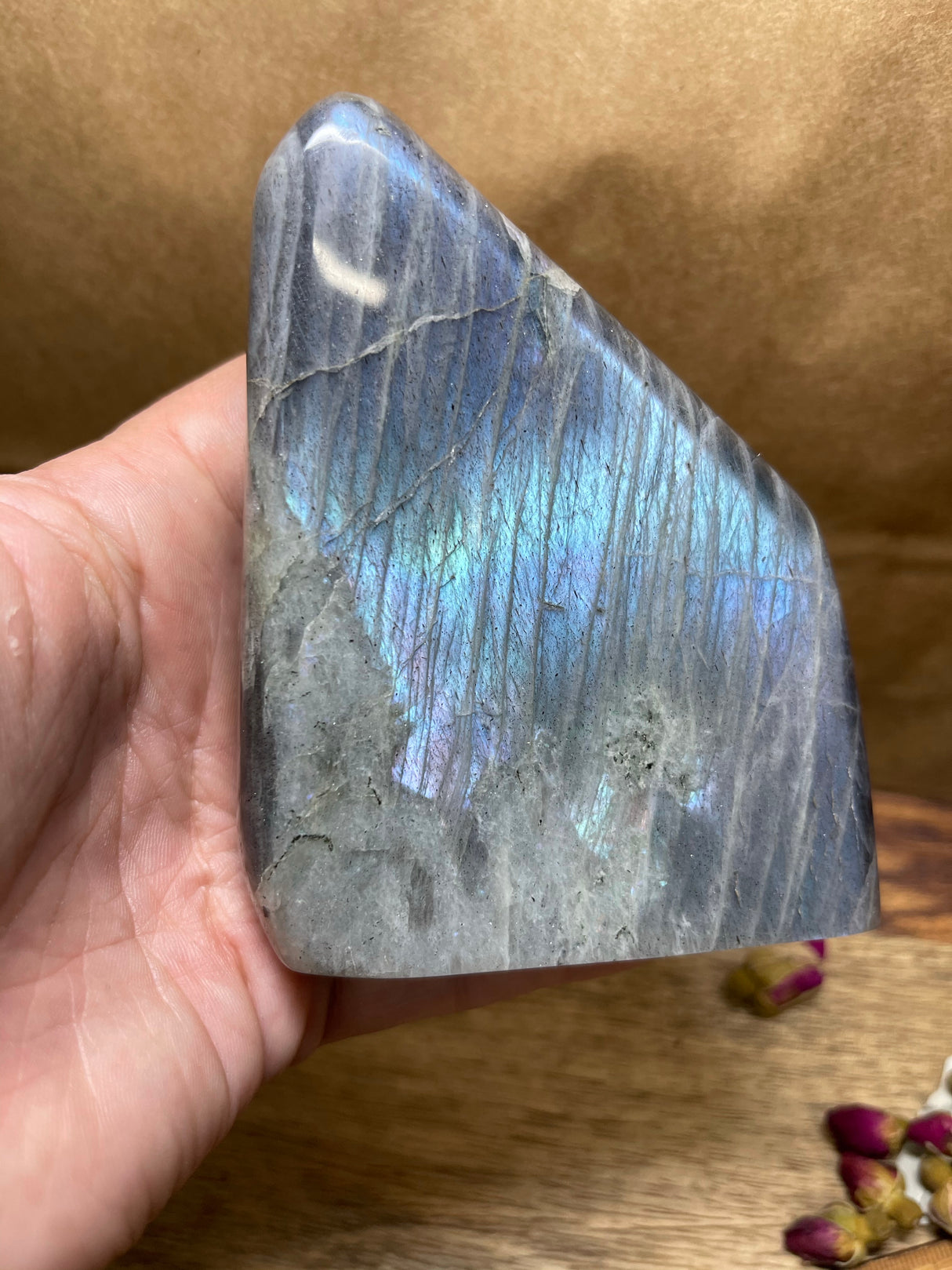 Labradorite Freeform - A Grade 524g - “I welcome change and transformation into my life”.