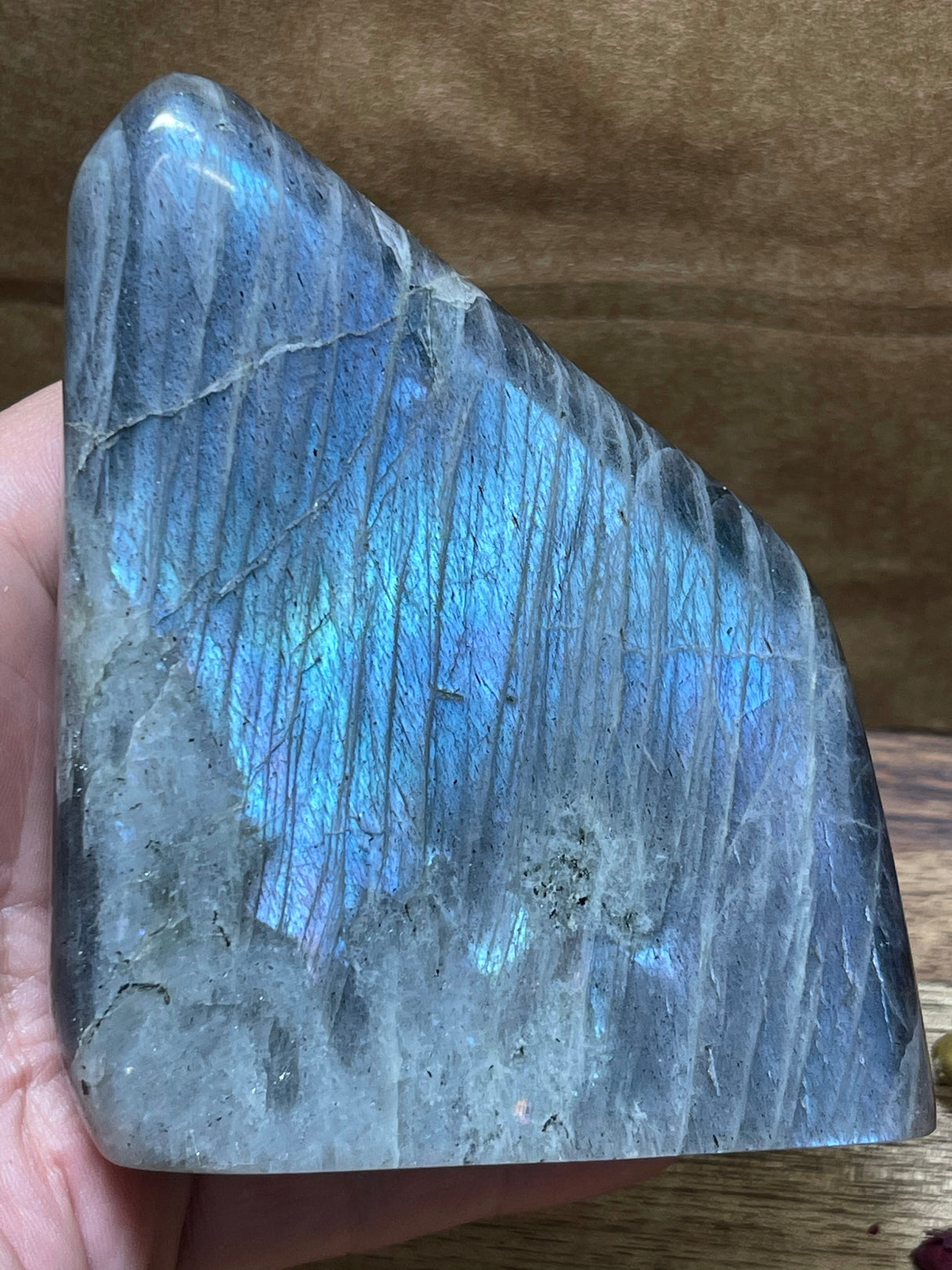 Labradorite Freeform - A Grade 524g - “I welcome change and transformation into my life”.