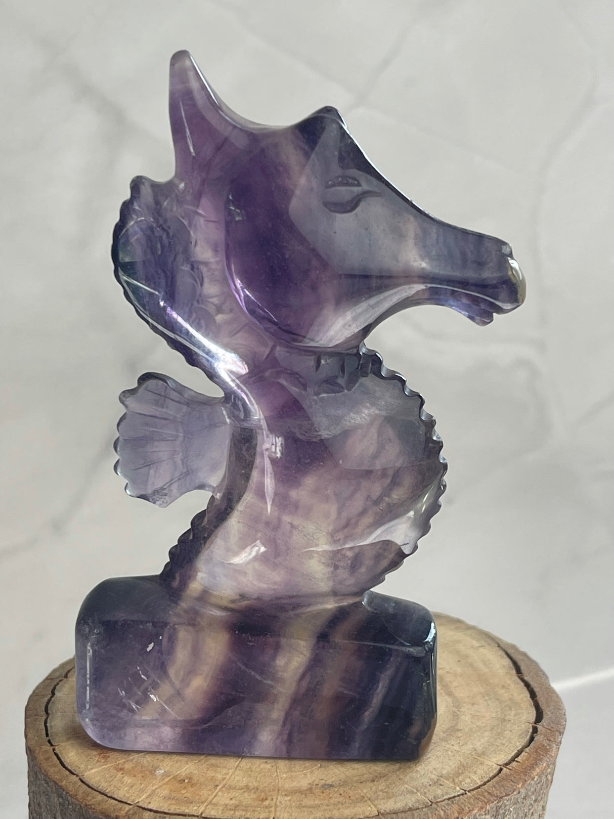 Fluorite Seahorse Carving - Good Luck. Opportunity.