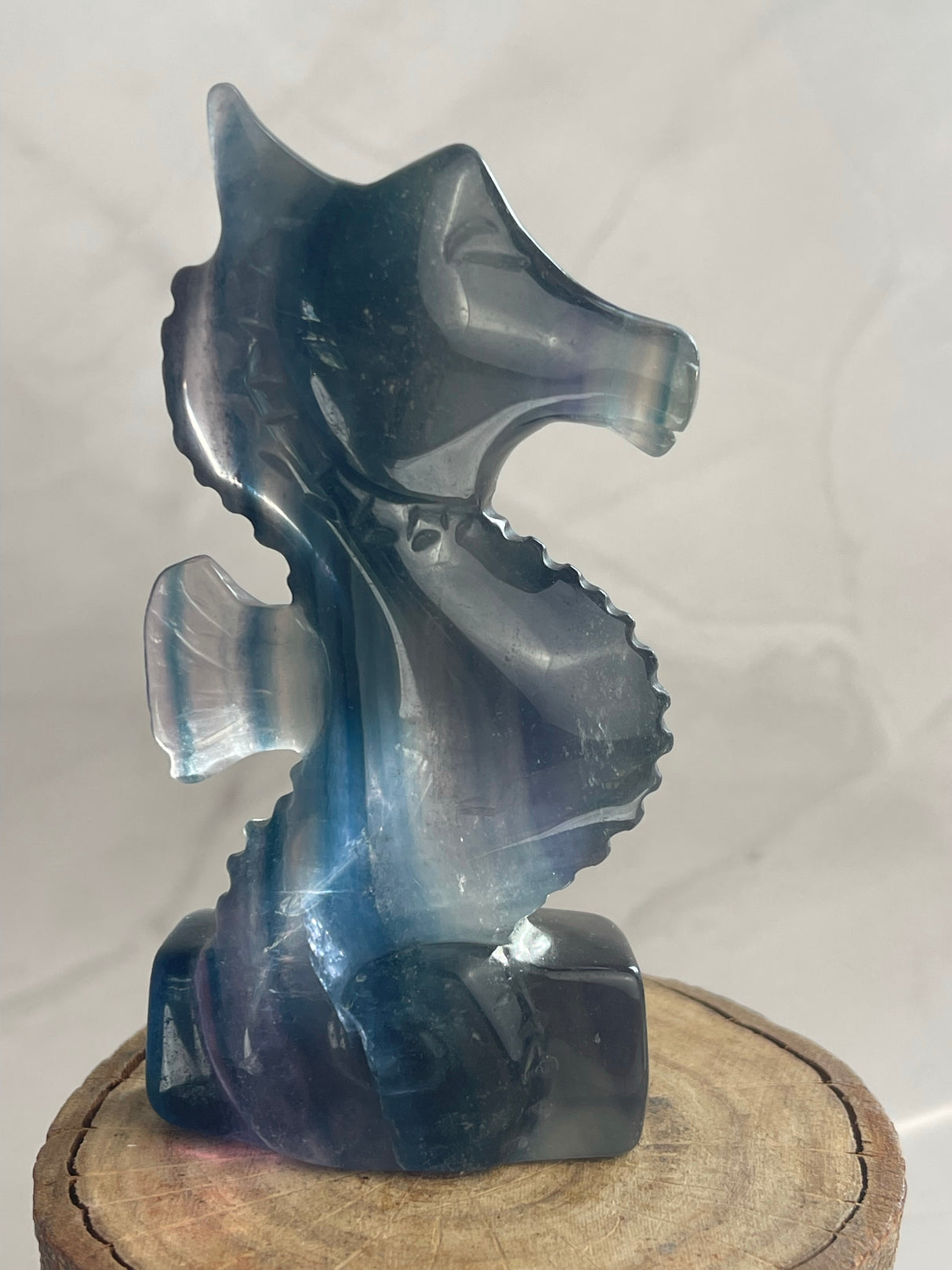 Fluorite Seahorse Carving - Good Luck. Opportunity.