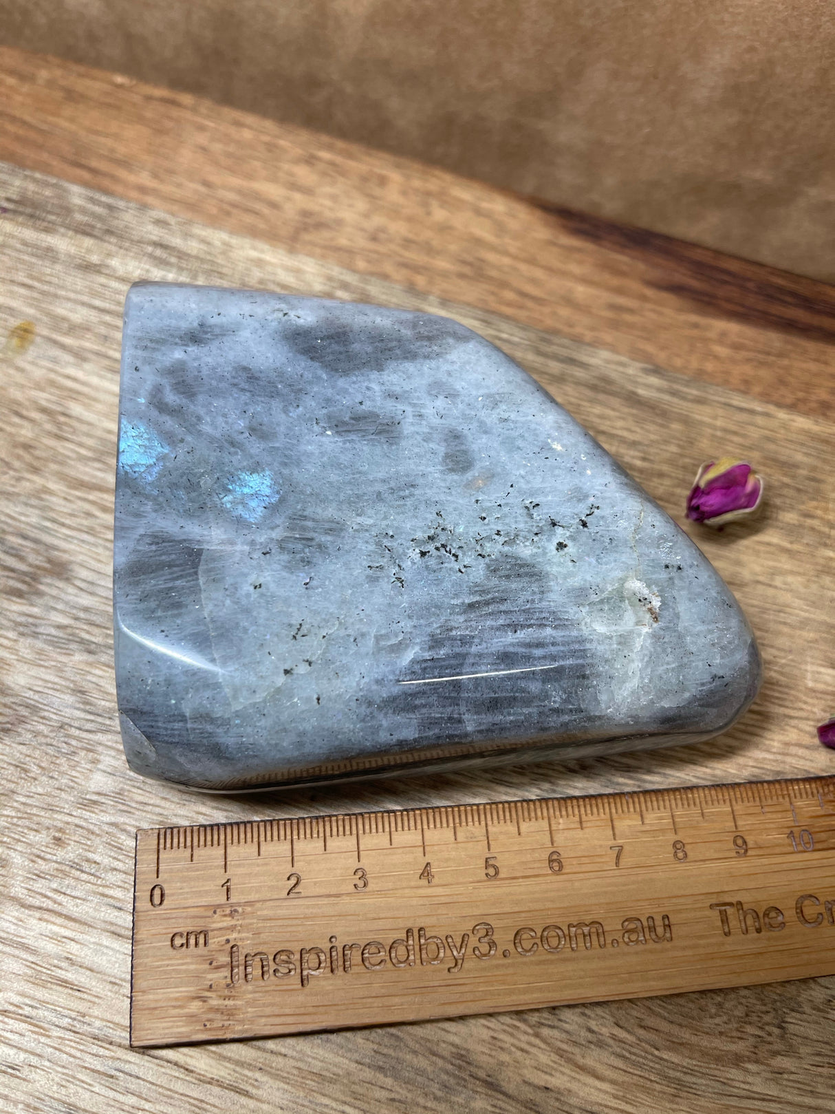 Labradorite Freeform - A Grade 524g - “I welcome change and transformation into my life”.