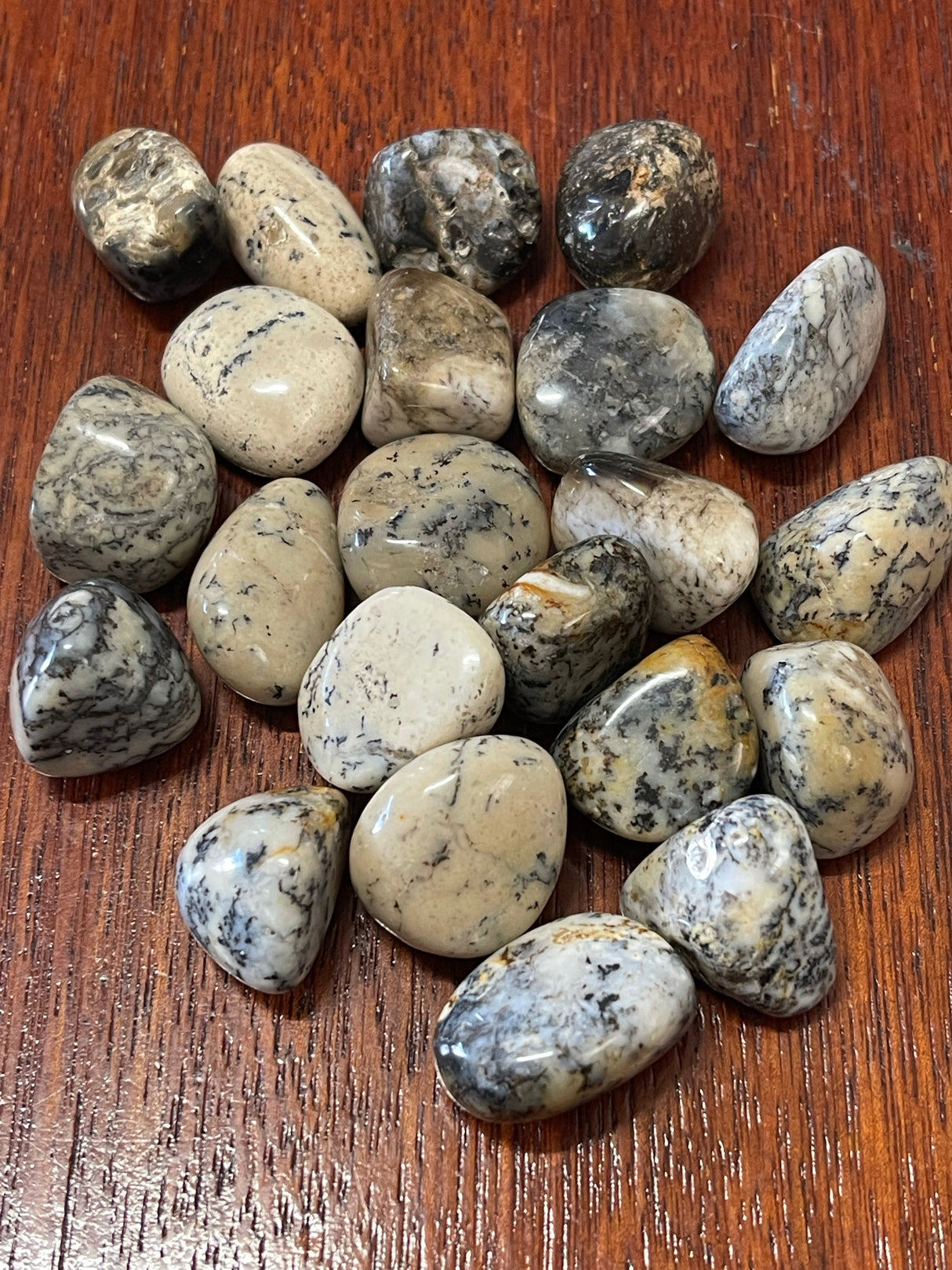 Dendritic Agate Tumbled Stone – Stone of Growth, Stability & Inner Peace