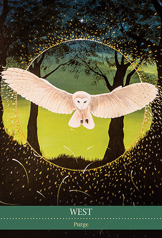 Shamanic Medicine Oracle Cards - Barbara Meiklejohn-Free and Flavia Kate Peters