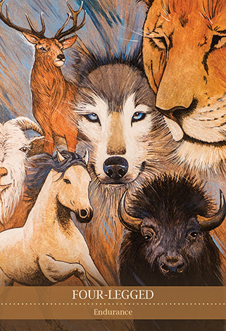 Shamanic Medicine Oracle Cards - Barbara Meiklejohn-Free and Flavia Kate Peters