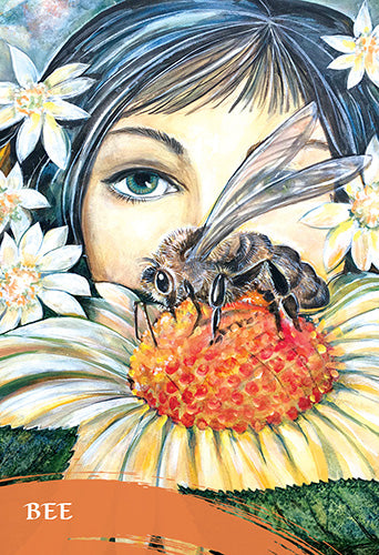 The Zen Animals - Pamela Mathews