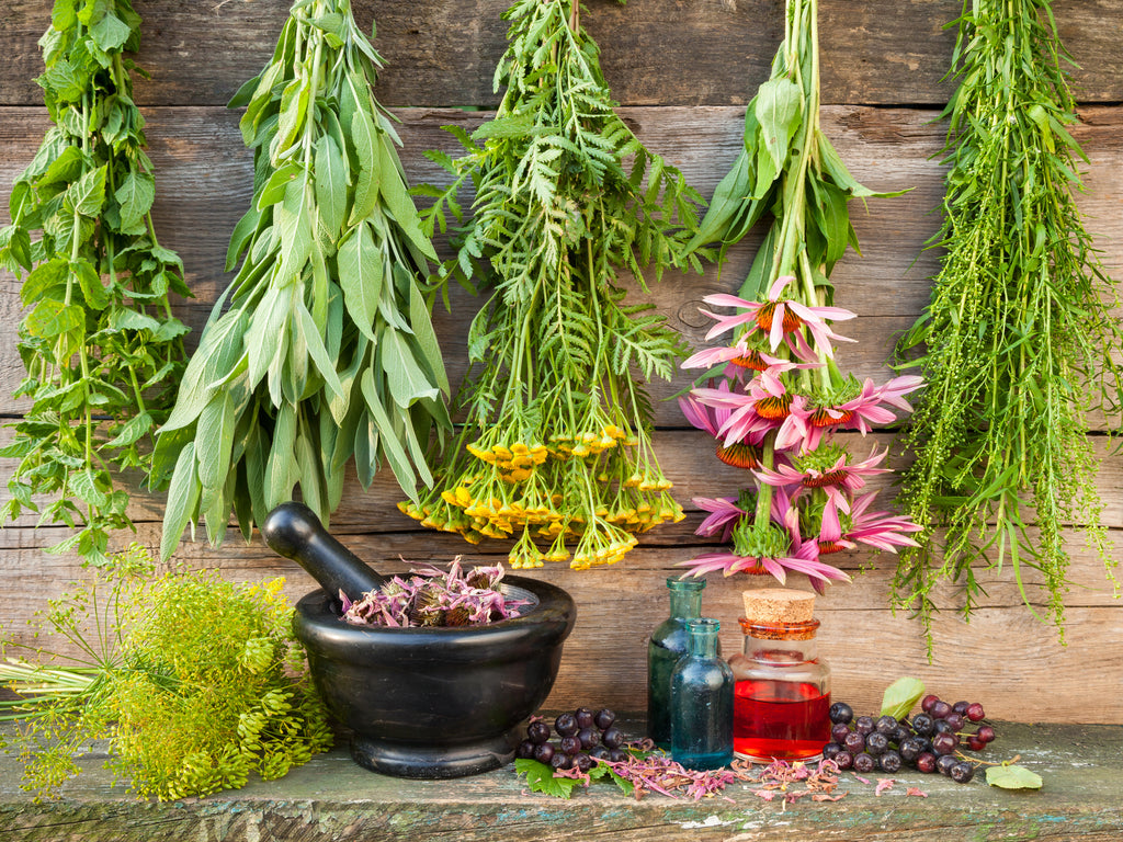 A guide on how to use Magickal Herbs