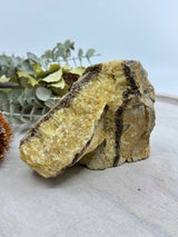 Septarian Jasper Specimen 1.125kg (15x10cm) – Stone of Strength, Protection & Ancient Wisdom