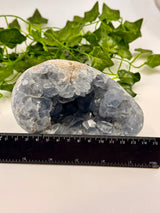 Celestite Egg 1.7kg – Whisper of the Angelic Realms