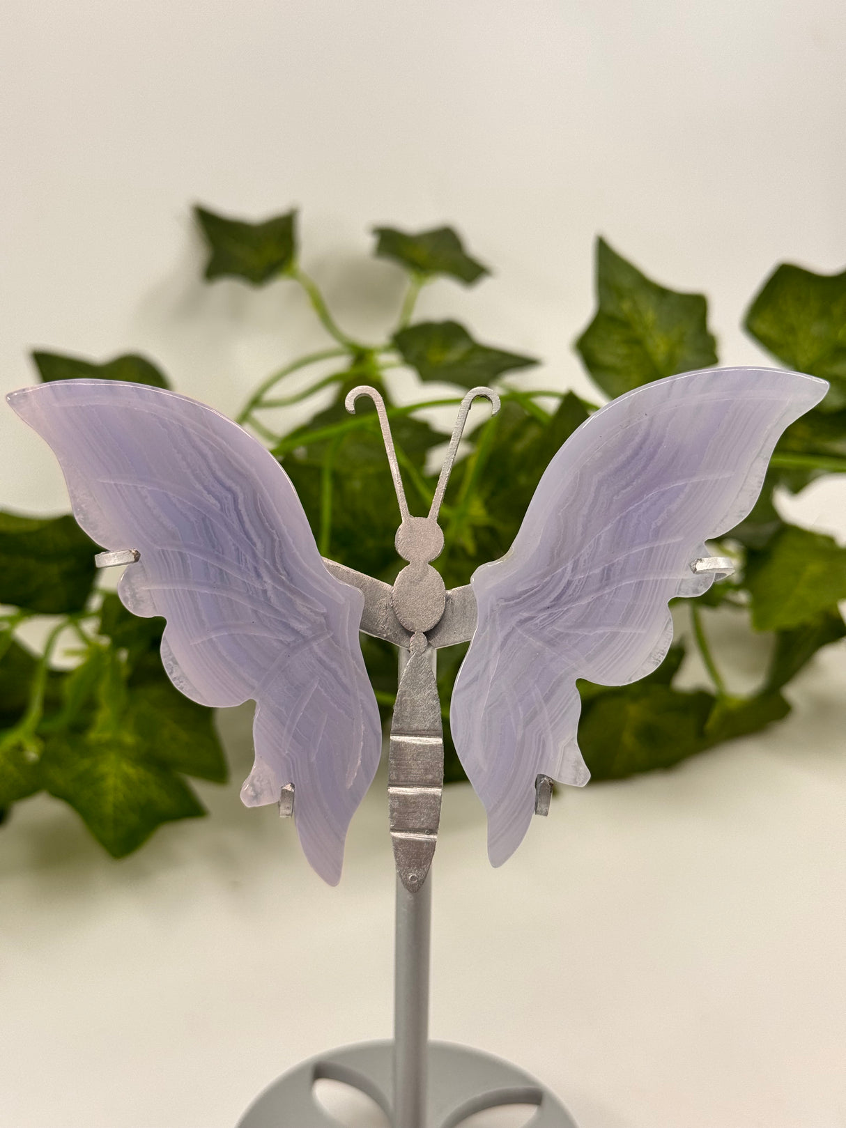 Blue Lace Agate Butterfly Wings on Stand – Tranquility, Transformation and Angelic Communication