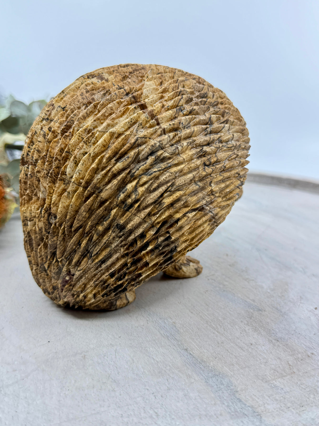 Picture Jasper Echidna Carving 2.254kg (15x13x11cm) – Stone of Earth Wisdom, Protection & Connection
