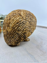 Picture Jasper Echidna Carving 2.254kg (15x13x11cm) – Stone of Earth Wisdom, Protection & Connection