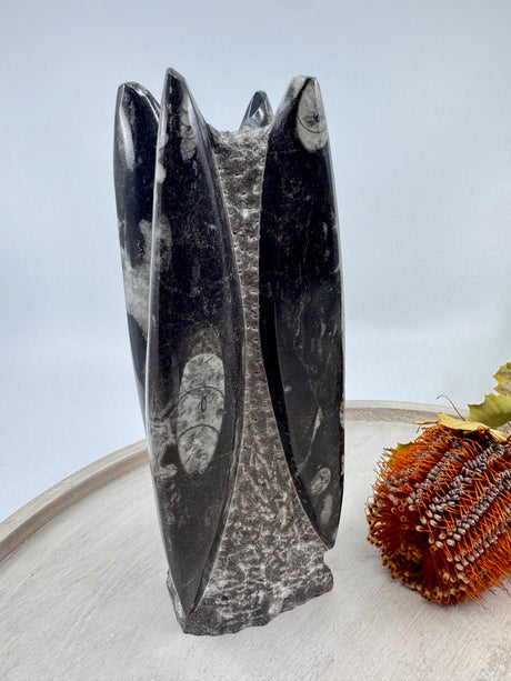Fossil Orthoceras Tower | Ancient Healing Fossils for Transformation | 1.3Kilos
