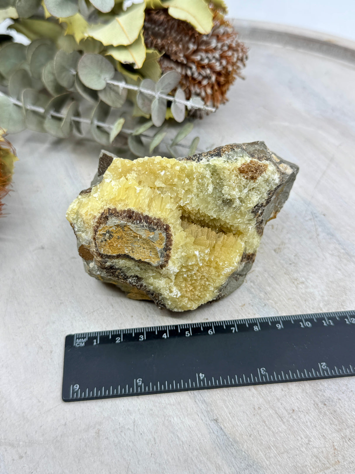 Septarian Jasper Specimen 517g (11x7cm) – Stone of Grounding, Protection & Ancient Wisdom