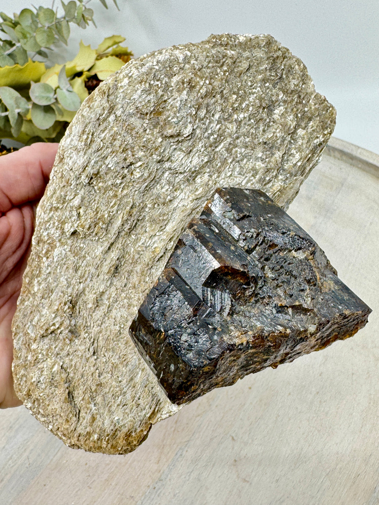 Brown Dravite Tourmaline in Mica – 777g | Rare Stone of Grounding, Protection & Inner Strength