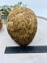 Picture Jasper Echidna Carving 2.254kg (15x13x11cm) – Stone of Earth Wisdom, Protection & Connection