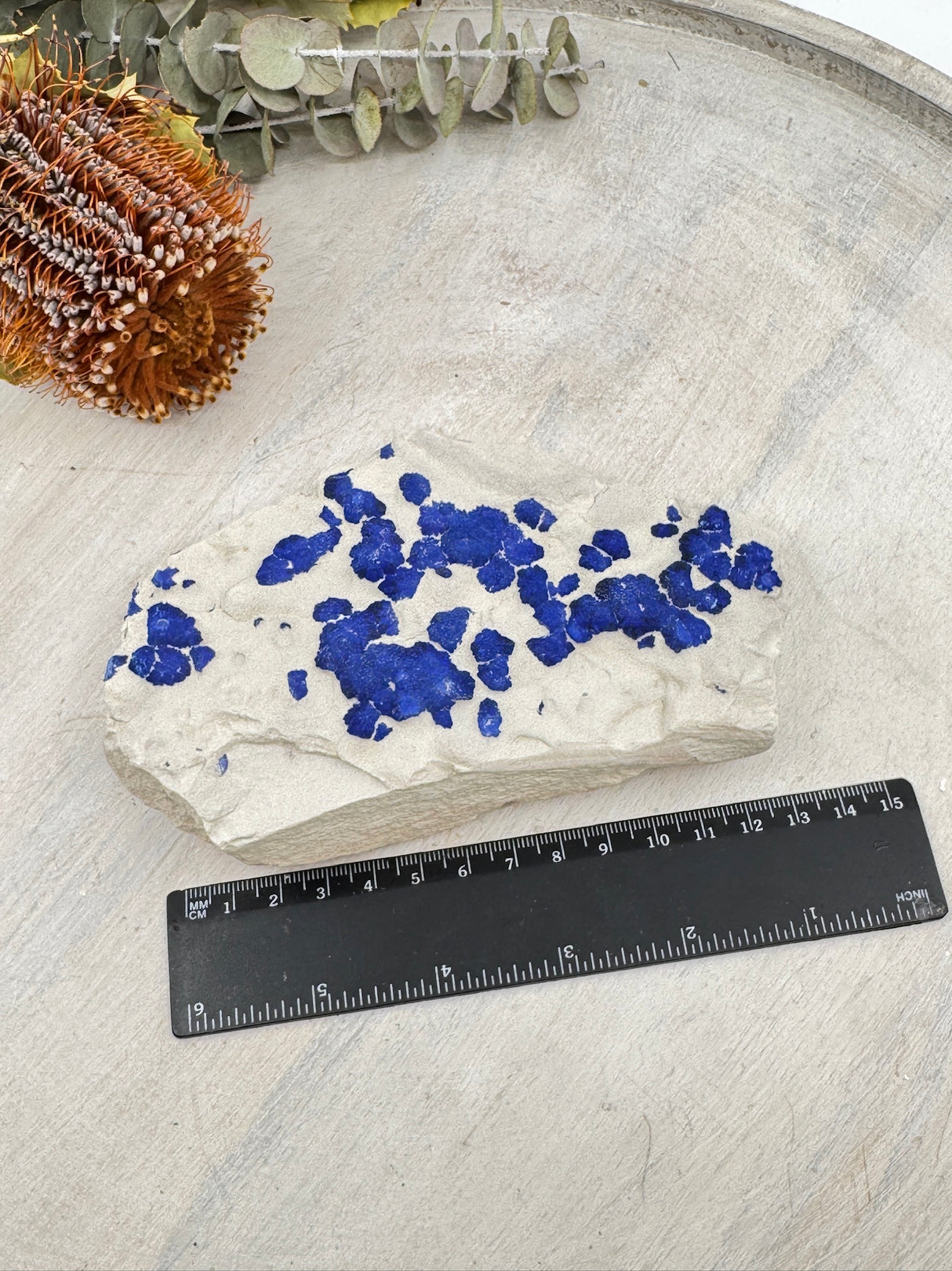 Azurite Sun – Rare Australian Mineral for Intuition & Transformation | Malbunka Copper Mine, NT