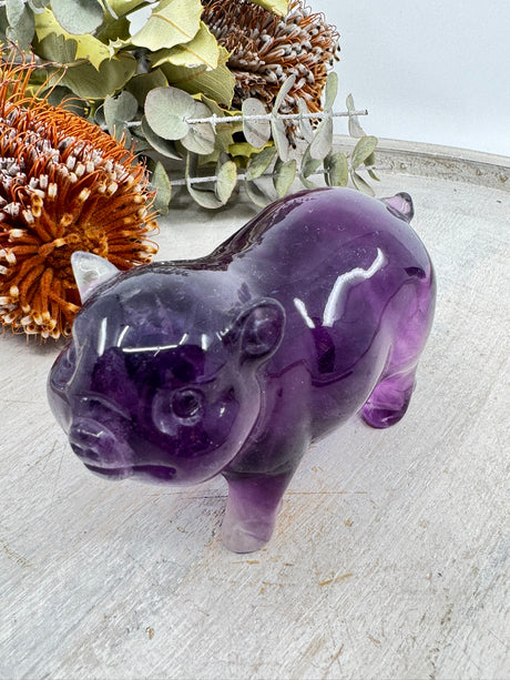 Purple Fluorite pig carving 431g 5x9.5cm – purple crystal symbol of intuition, clarity and abundance – Inspired By 3 Crystals Australia.